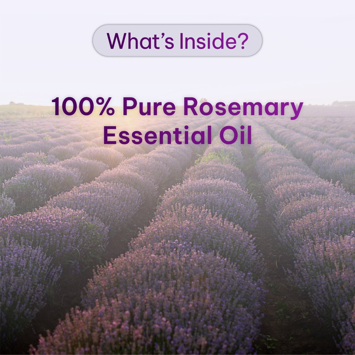 Muscle Care Oil | 30ml | Natural Relaxant for Muscles - Ethos Wellness