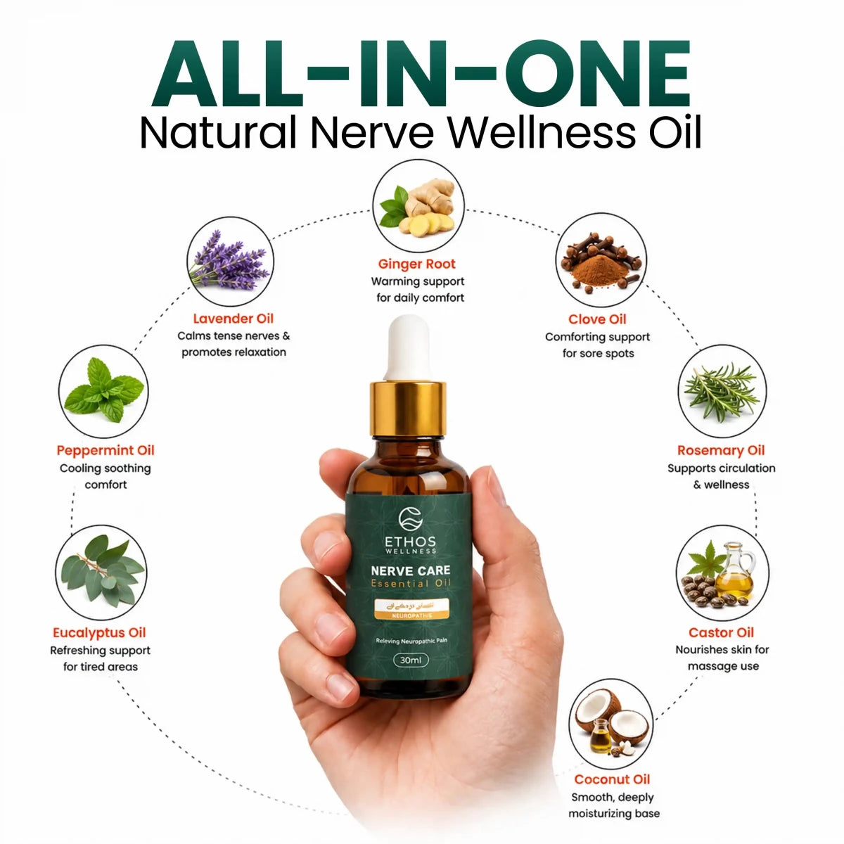 Nerve Care Oil - Numbness, Sciatica, & Neuropathic Pain Relief | 30ml - Ethos Wellness